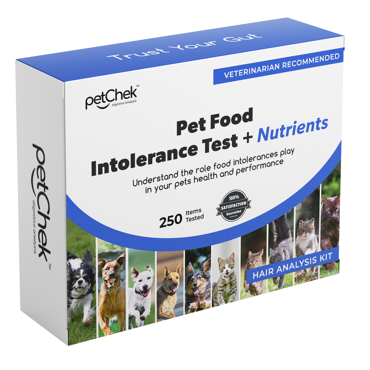 Food Intolerance Pet Premium Test