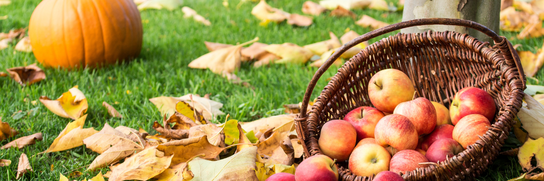 Your Fall Favorites Might Be Fighting You: 5 Sneaky Food Sensitivities to Watch This Season