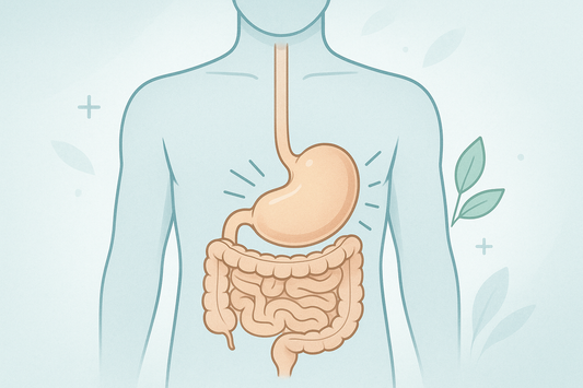 Bloating, Burping & Bathroom Trouble: What Your Gut Might Be Trying to Tell You