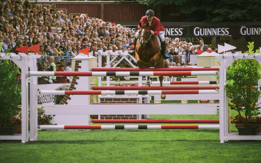 Exploring Pet Health at the Pet Expo: A Fresh Perspective from Spruce Meadows