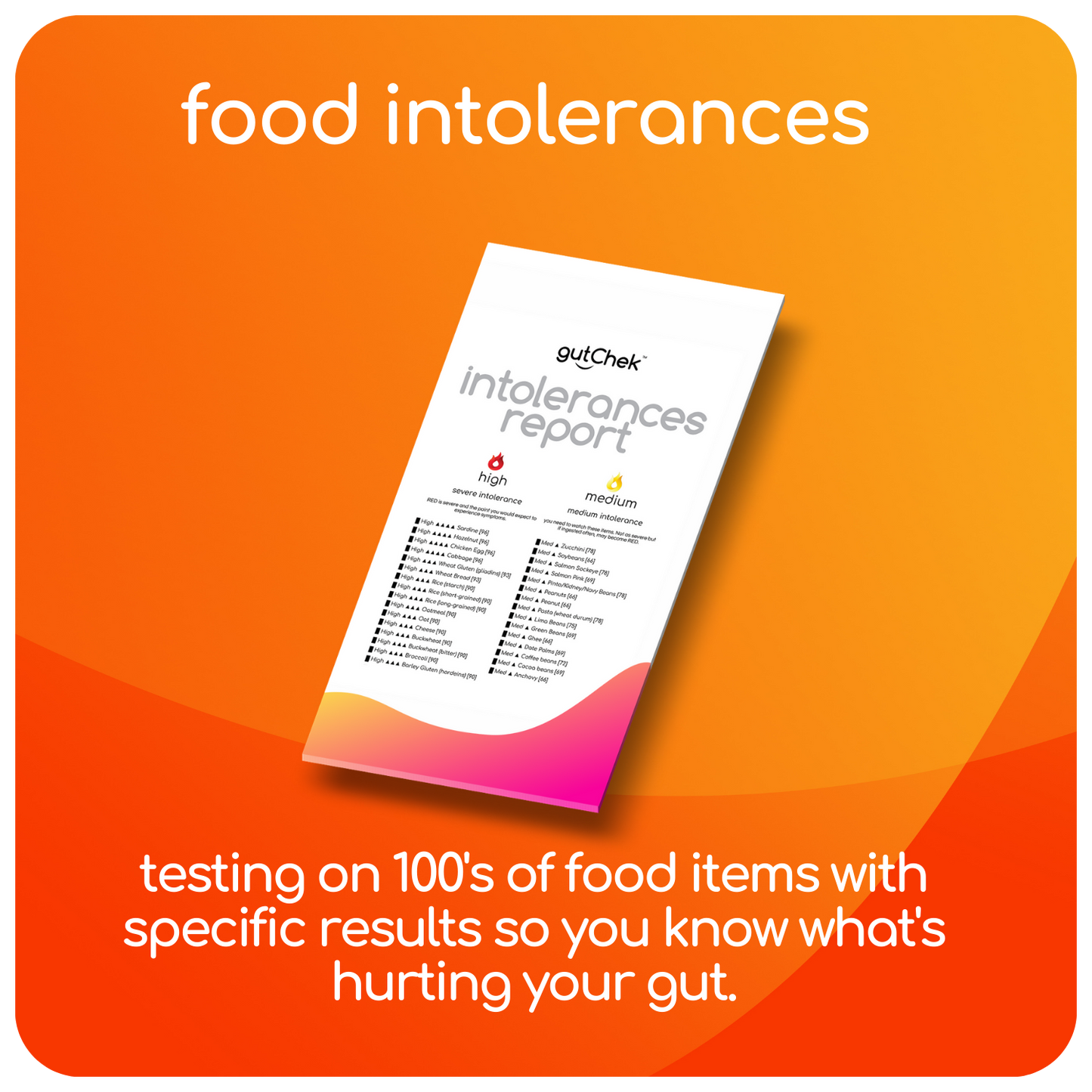 Food Intolerance - Premium Test - includes Consultation - GB
