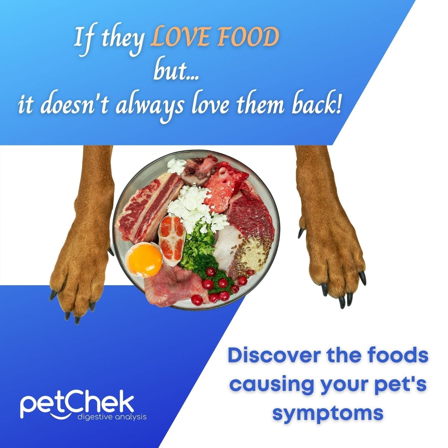 Food Intolerance - Pet - Premium Test - Next Gen. Pet